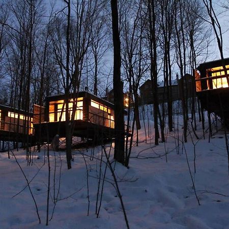Villa Cabin Sutton 252 - En harmonie avec la nature! Extérieur photo