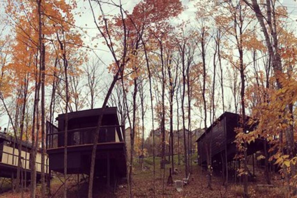 Villa Cabin Sutton 252 - En harmonie avec la nature! Extérieur photo